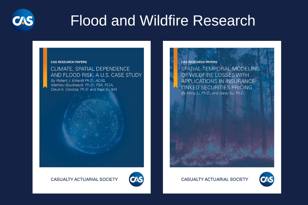 case study on climate risk